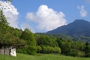 Alla Madonna delle Cime sul Corno Zuccone (1458 m) da Reggetto di Vedeseta il 14 maggio 2017 - FOTOGALLERY